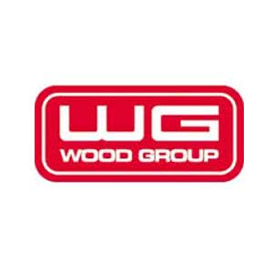 vagas Wood Group